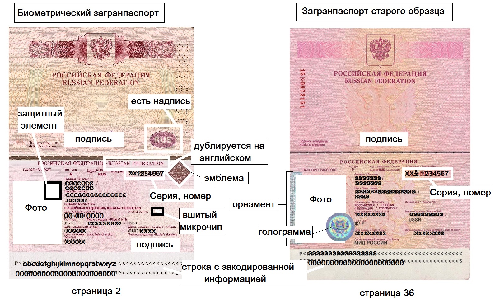 Сколько делается паспорт старого образца